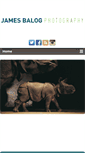 Mobile Screenshot of jamesbalog.com